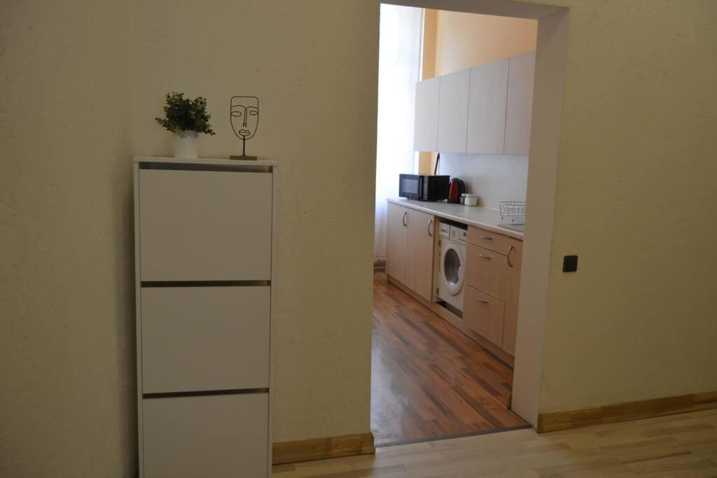 Spacious Old Town Family Peachy 2 Bedrooms Apartment, Nearby The Riga Presidential Castle Eksteriør billede